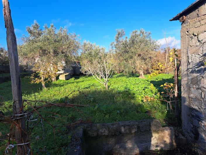 Image No.17-Propriété de pays de 1 chambre à vendre à Longobardi