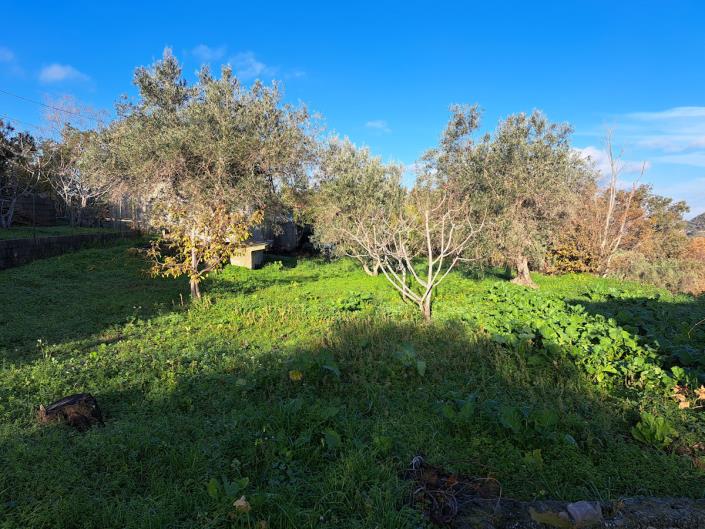 Image No.18-Propriété de pays de 1 chambre à vendre à Longobardi