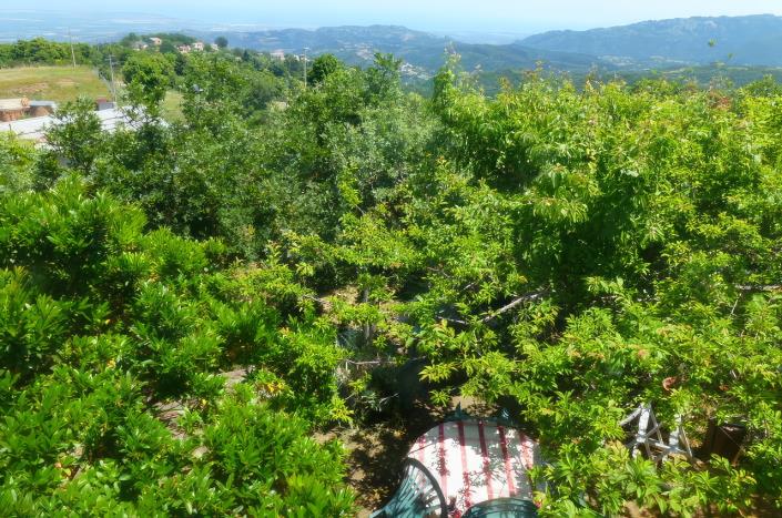 Image No.16-5 Bed House/Villa for sale