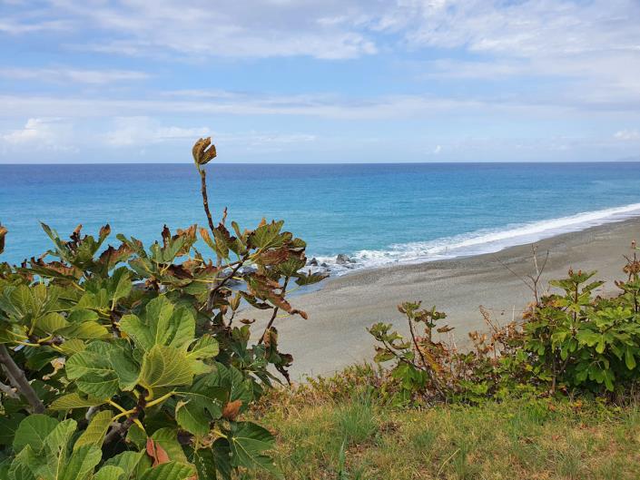 Image No.22-3 Bed Country House for sale