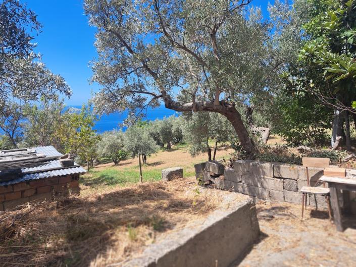 Image No.17-3 Bed Country House for sale