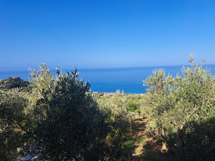 Image No.2-3 Bed Country House for sale