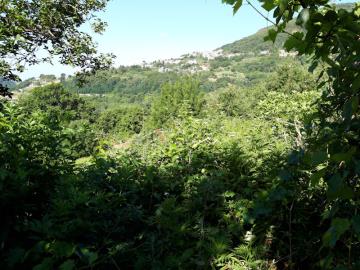 CasaBarratta12GBviewi