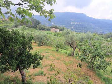 CasaTorremezzo14TCview