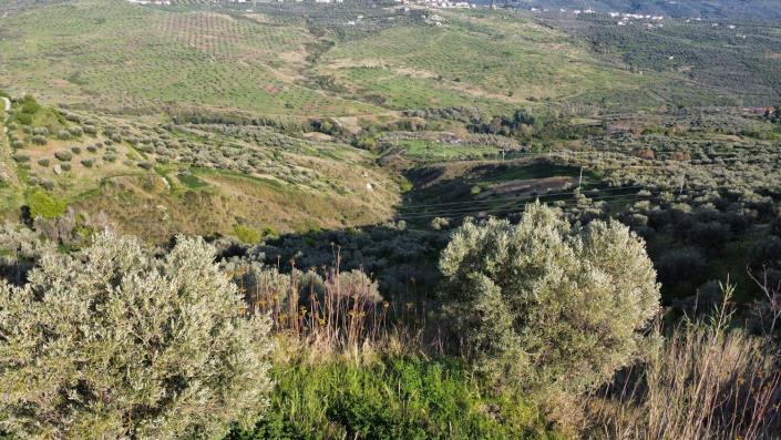 Image No.12-3 Bed Farmhouse for sale