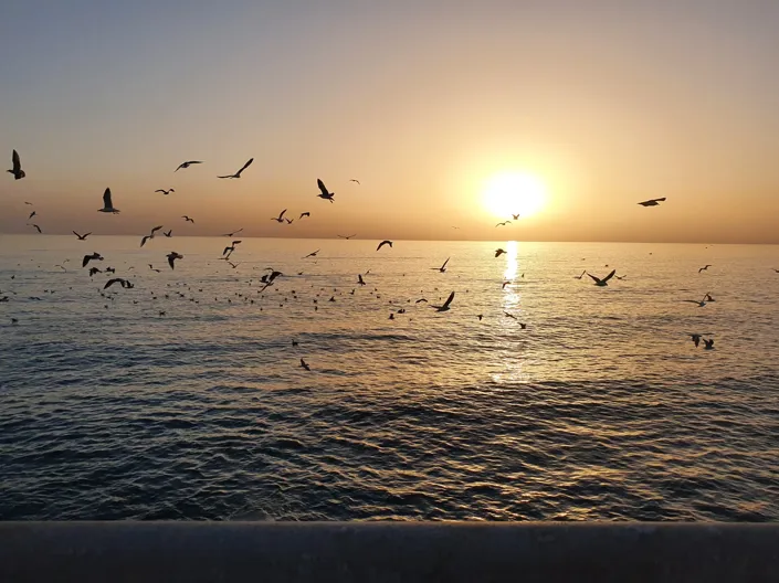 Image No.20-4 Bed Villa for sale