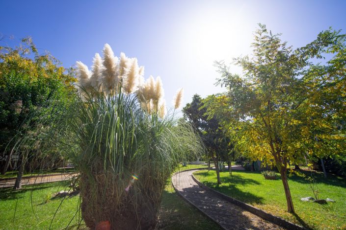 Image No.29-Villa de 5 chambres à vendre à Montalto Uffugo