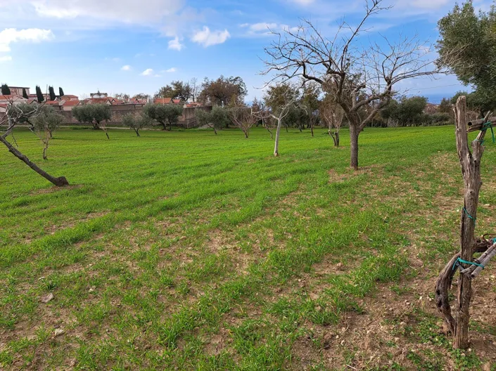 Image No.17-4 Bed Farmhouse for sale