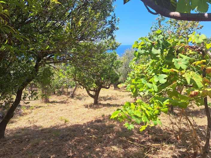 Image No.19-2 Bed Farmhouse for sale