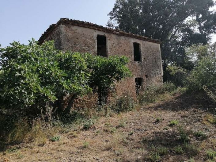 Image No.2-Terre à vendre à Scalea