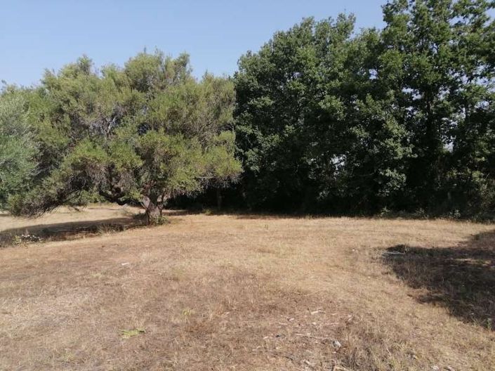 Image No.3-Terre à vendre à Scalea