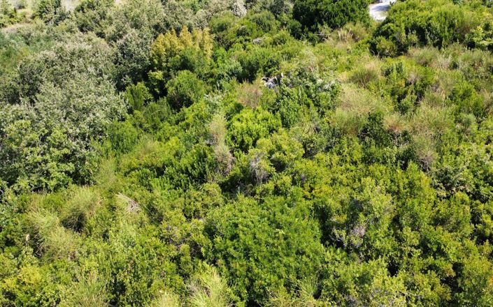 Image No.2-Property for sale