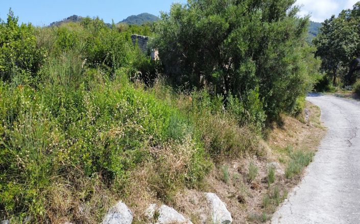 Image No.6-Property for sale