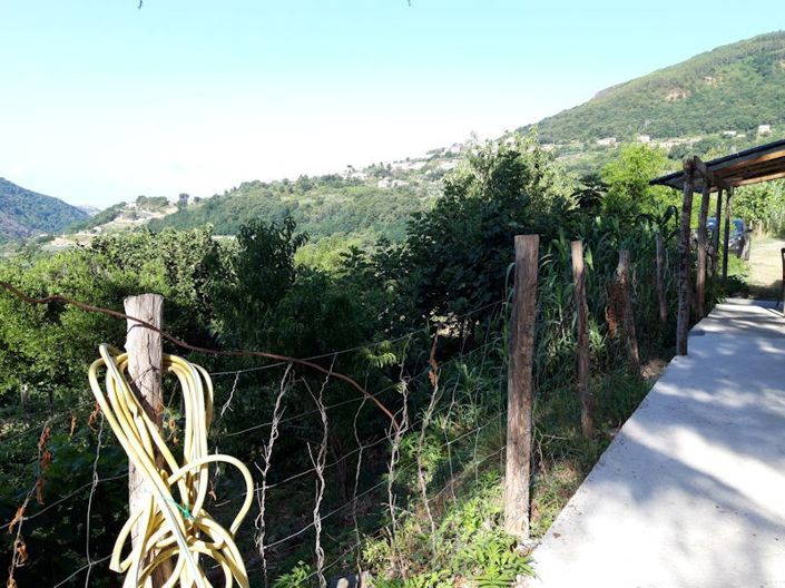 Image No.12-Ferme à vendre à Lago