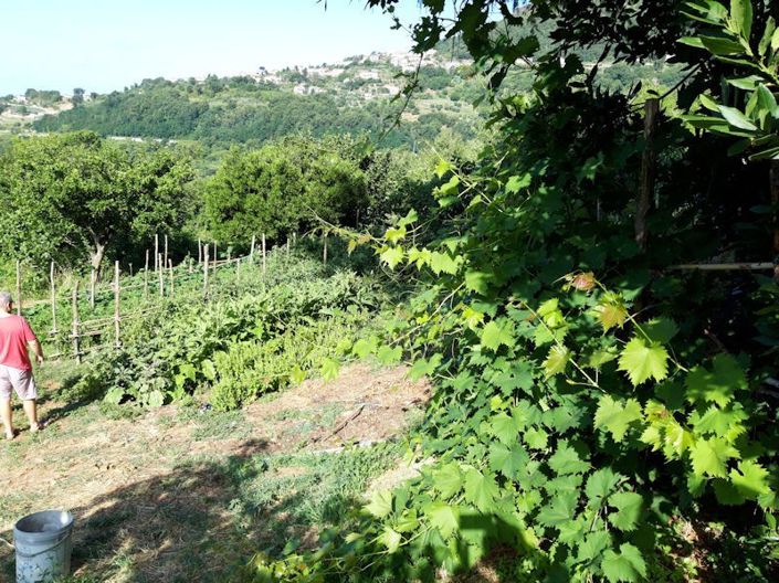 Image No.13-Ferme à vendre à Lago