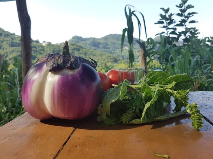 Image No.16-Ferme à vendre à Lago