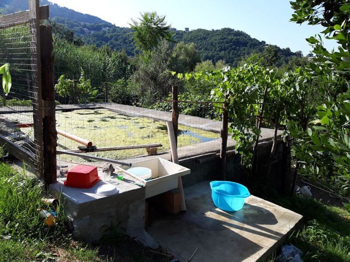 Image No.17-Ferme à vendre à Lago