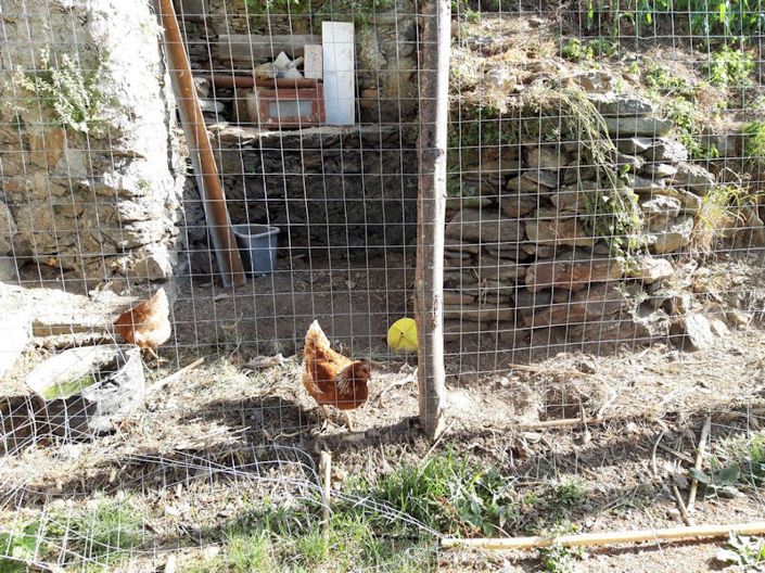 Image No.2-Ferme à vendre à Lago