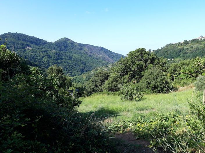 Image No.21-Ferme à vendre à Lago