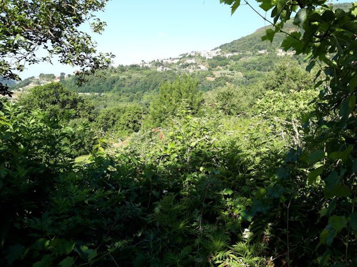 Image No.22-Ferme à vendre à Lago