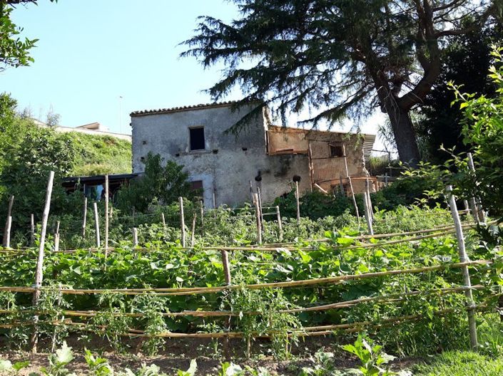 Image No.4-Ferme à vendre à Lago