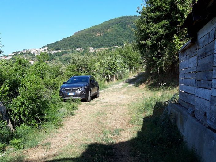 Image No.5-Ferme à vendre à Lago