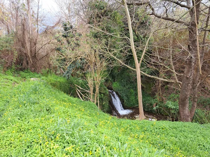 Image No.19-Property for sale