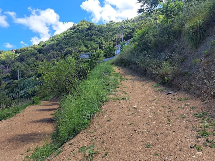 Image No.11-Terre à vendre à Falconara Albanese