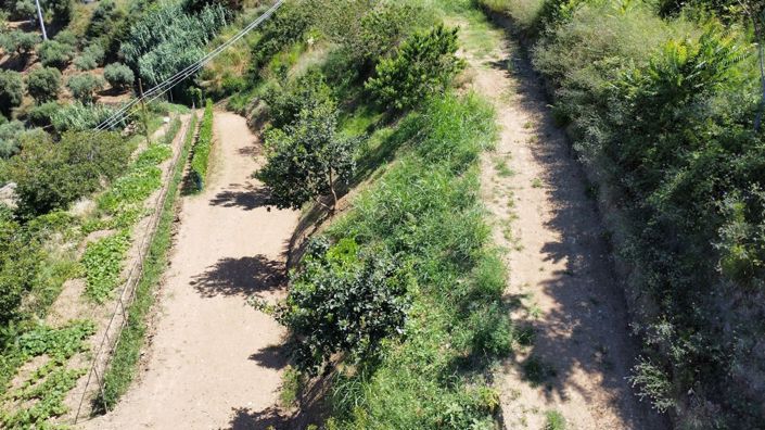 Image No.13-Terre à vendre à Falconara Albanese