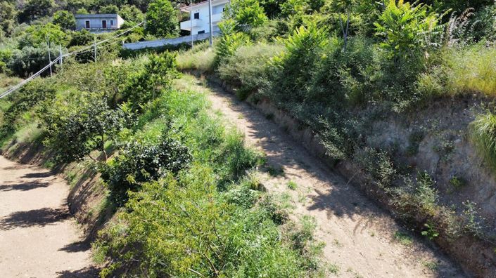 Image No.14-Terre à vendre à Falconara Albanese