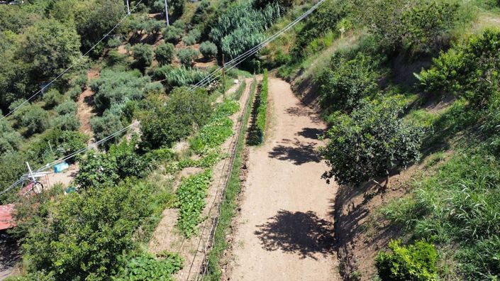 Image No.15-Terre à vendre à Falconara Albanese
