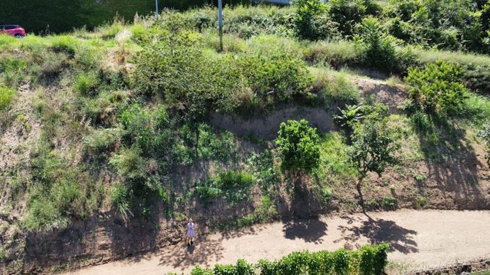 Image No.17-Terre à vendre à Falconara Albanese