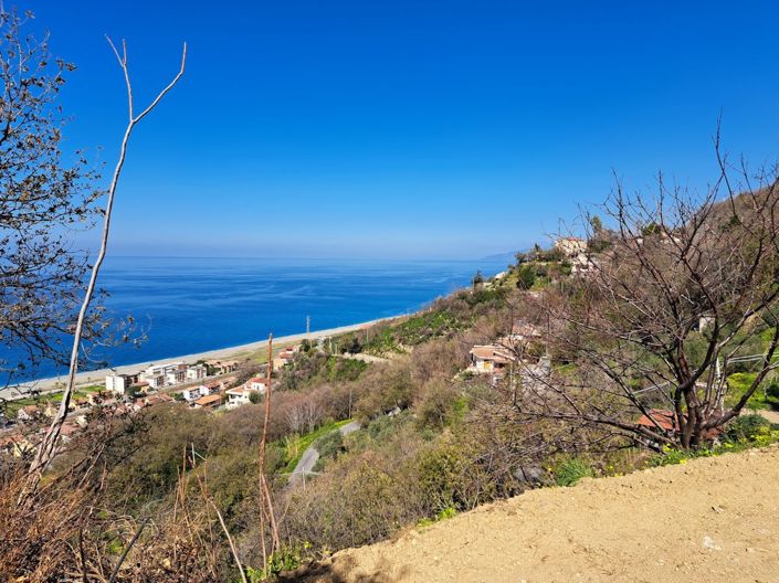 Image No.18-Terre à vendre à Falconara Albanese