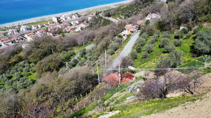 Image No.19-Terre à vendre à Falconara Albanese