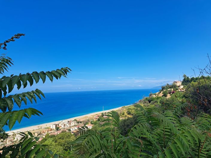 Image No.20-Terre à vendre à Falconara Albanese