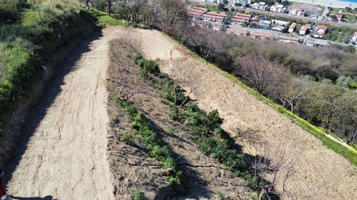 Image No.3-Terre à vendre à Falconara Albanese