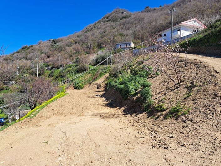 Image No.4-Terre à vendre à Falconara Albanese