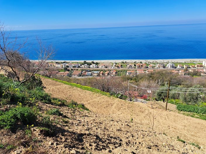 Image No.6-Terre à vendre à Falconara Albanese