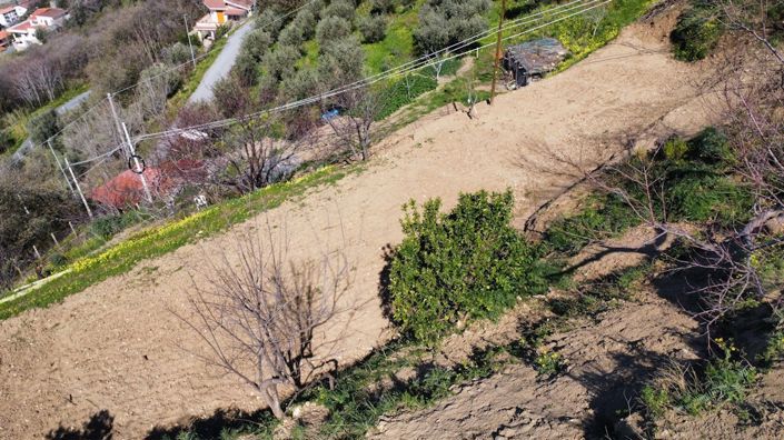 Image No.7-Terre à vendre à Falconara Albanese