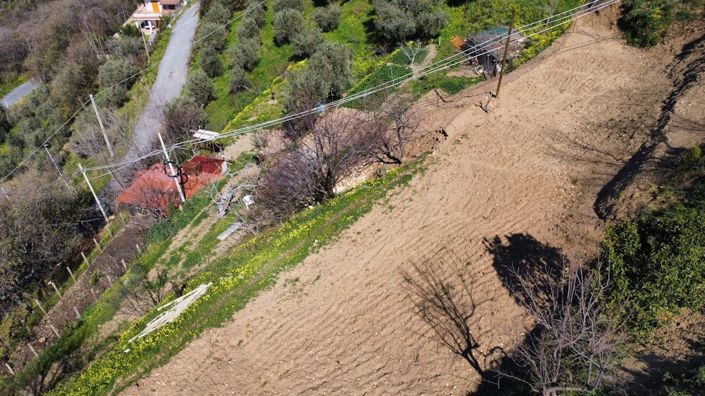 Image No.8-Terre à vendre à Falconara Albanese