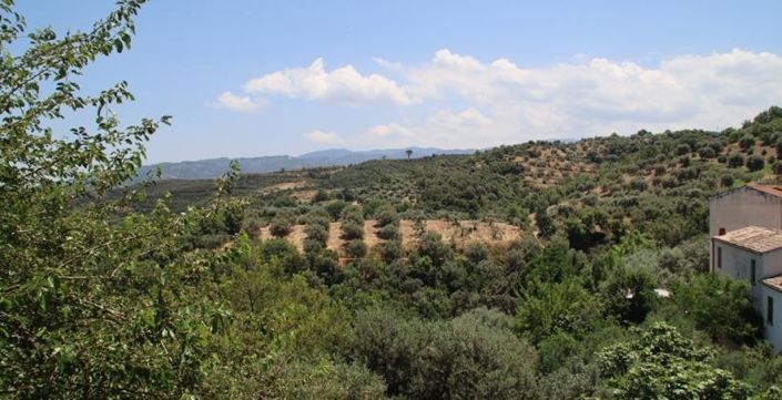 Image No.4-2 Bed House for sale