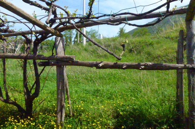 Image No.3-2 Bed Property for sale