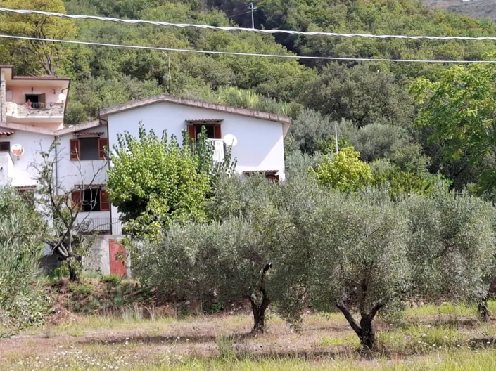 Image No.32-4 Bed House for sale