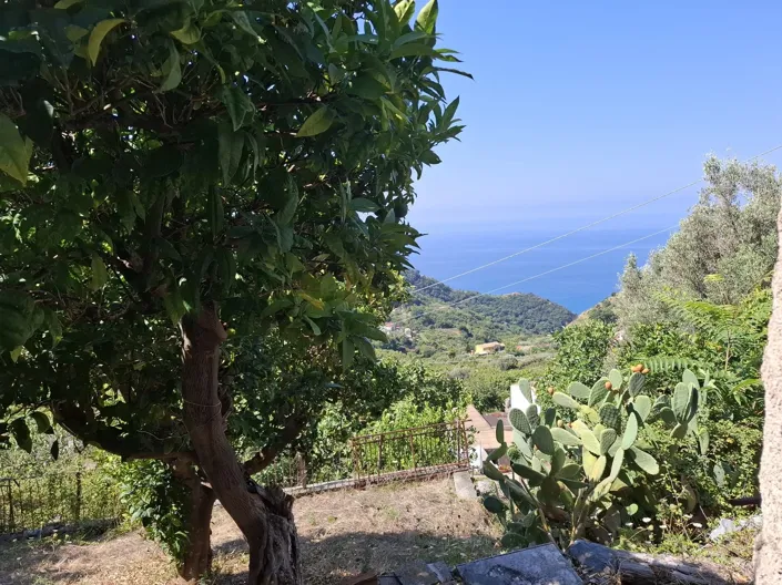 Image No.30-4 Bed House for sale