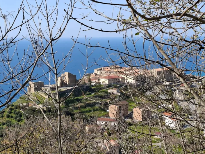 Image No.28-2 Bed House for sale