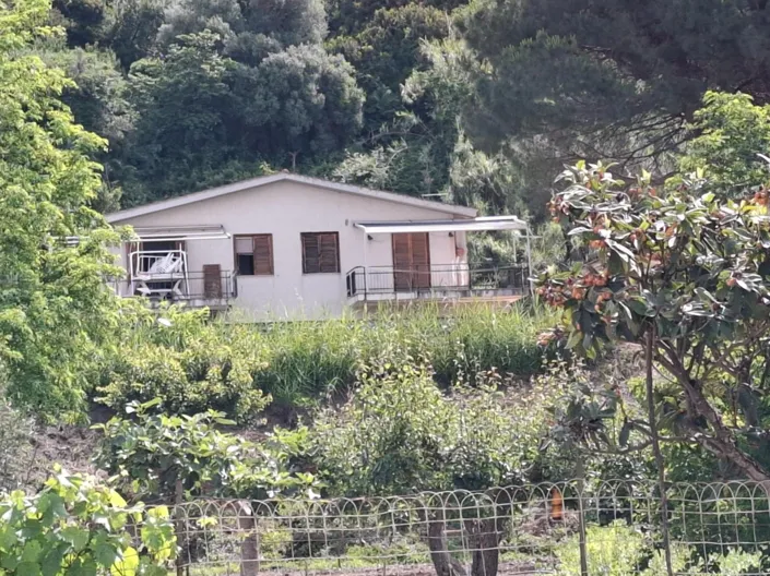 Image No.1-3 Bed Apartment for sale