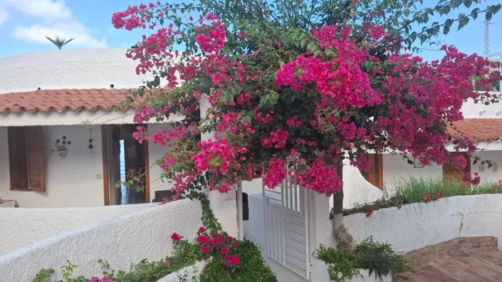 Image No.23-2 Bed Apartment for sale