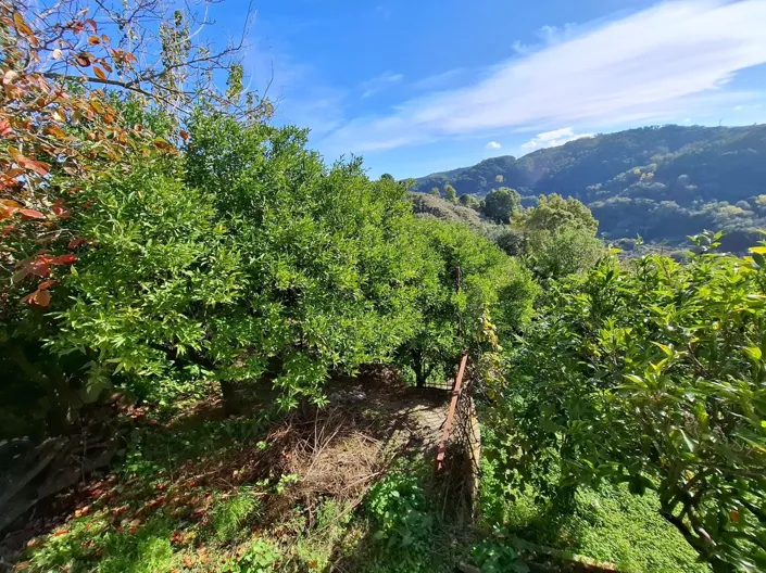 Image No.5-Maison de 5 chambres à vendre à Calabre