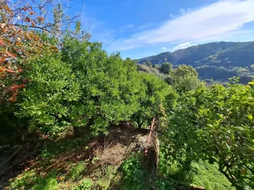 original20251111-12413069259ef2df9e3jpg