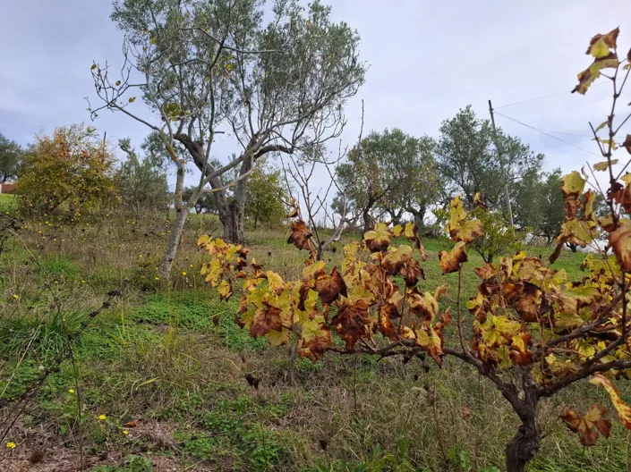 Image No.22-2 Bed Apartment for sale